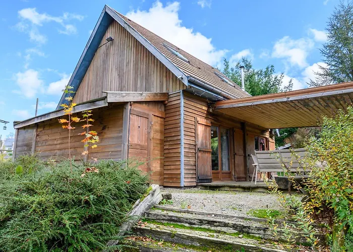 Myrtilles * Saint-Maurice-sur-Moselle