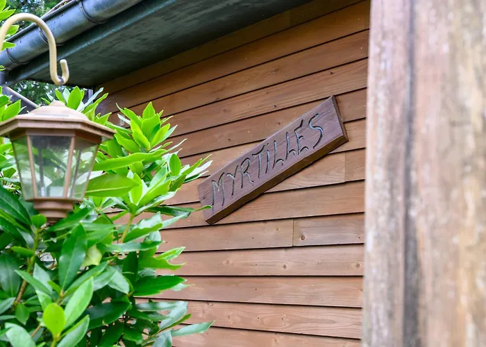 Myrtilles Saint-Maurice-sur-Moselle